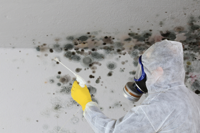 Do You Know About the Danger of Mold Growth in Your Home